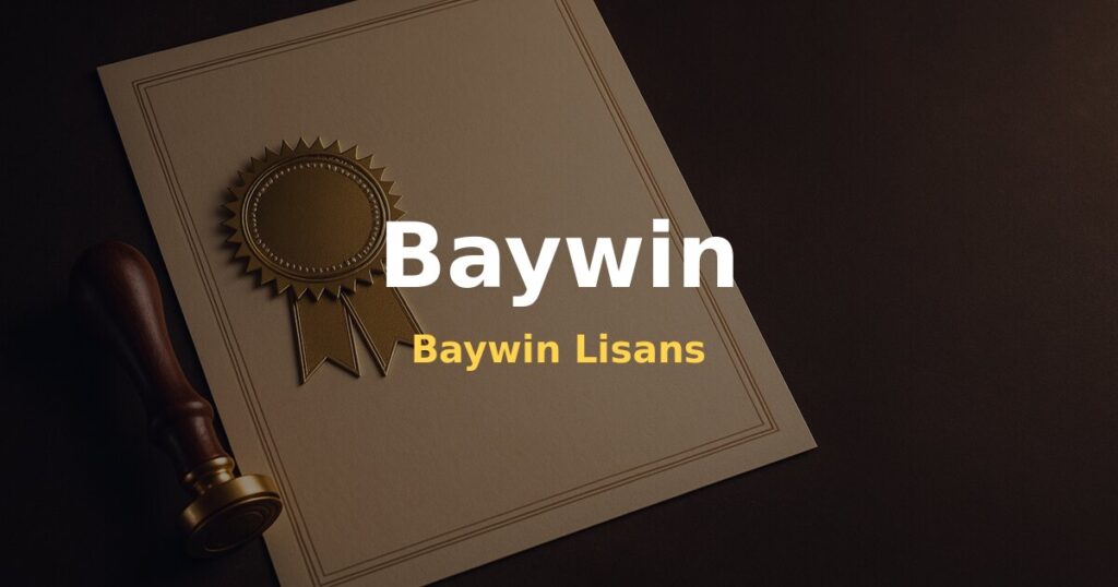 Baywin Lisans - Baywin